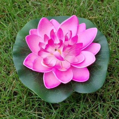 Vibrant Floating Lotus Flowers for Ponds and Gardens