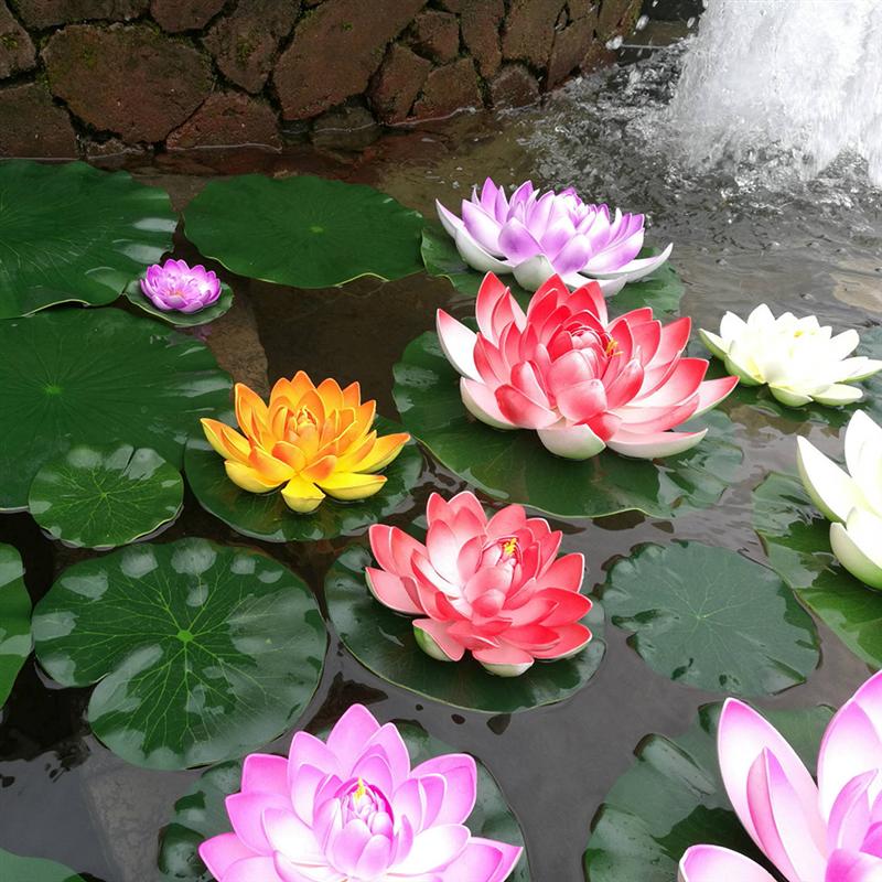 Vibrant Floating Lotus Flowers for Ponds and Gardens