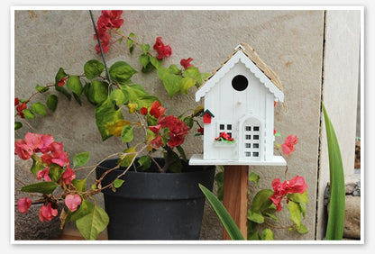 Wooden Birdhouse  Hanging Pole-Mounted Shelter for Birds