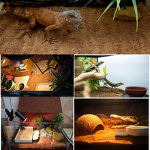 Load image into Gallery viewer, Lizard Snake Chameleon Turtles Reptiles Natural Coconut Carpet Liner for Terrarium Tank Exo Terra Habitat
