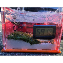 Load image into Gallery viewer, Digital LCD Thermometer Hygrometer for Pet Ant Farm Reptiles Turtle
