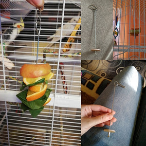 Hanging Steel Stick Parrot Birds Food Holder for Fruits Meat & Vegetable