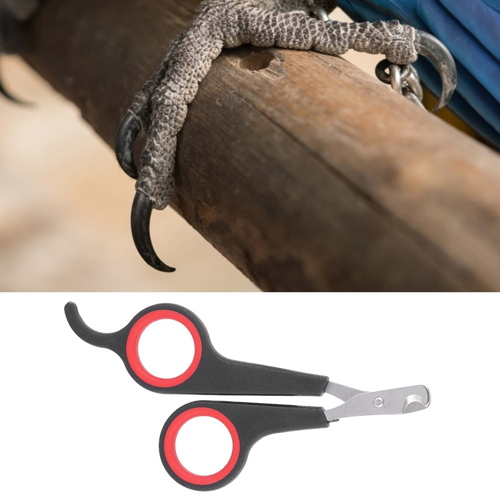 Bird Nail Clipper Scissors Safe and Precise Grooming for Parrots, Cockatiels, and Parakeets