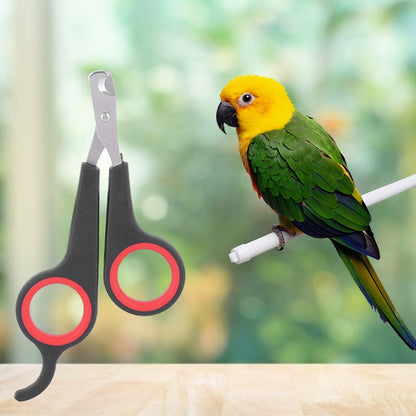 Bird Nail Clipper Scissors Safe and Precise Grooming for Parrots, Cockatiels, and Parakeets