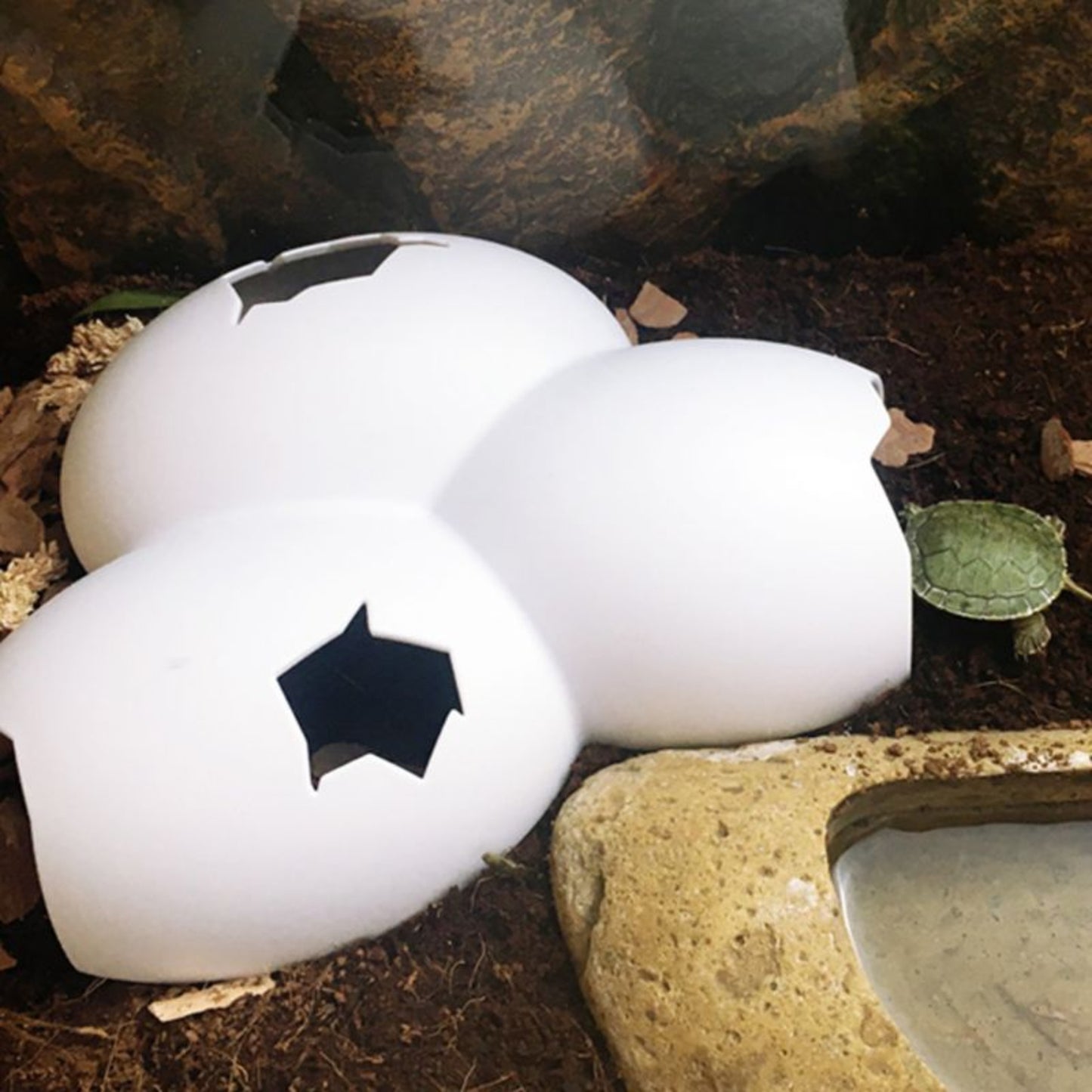 Reptile Eggshell Cave Natural Habitat Decoration for Snakes, Lizards, and Turtles