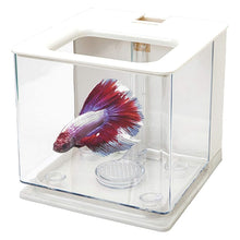 Load image into Gallery viewer, 2.5L Betta Fish Tank Self Cleaning Aquarium
