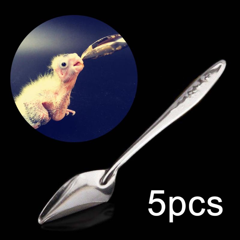 5-Piece Baby Bird Feeding Spoon Set , Safe and Easy Feeding Tools for Small Pets