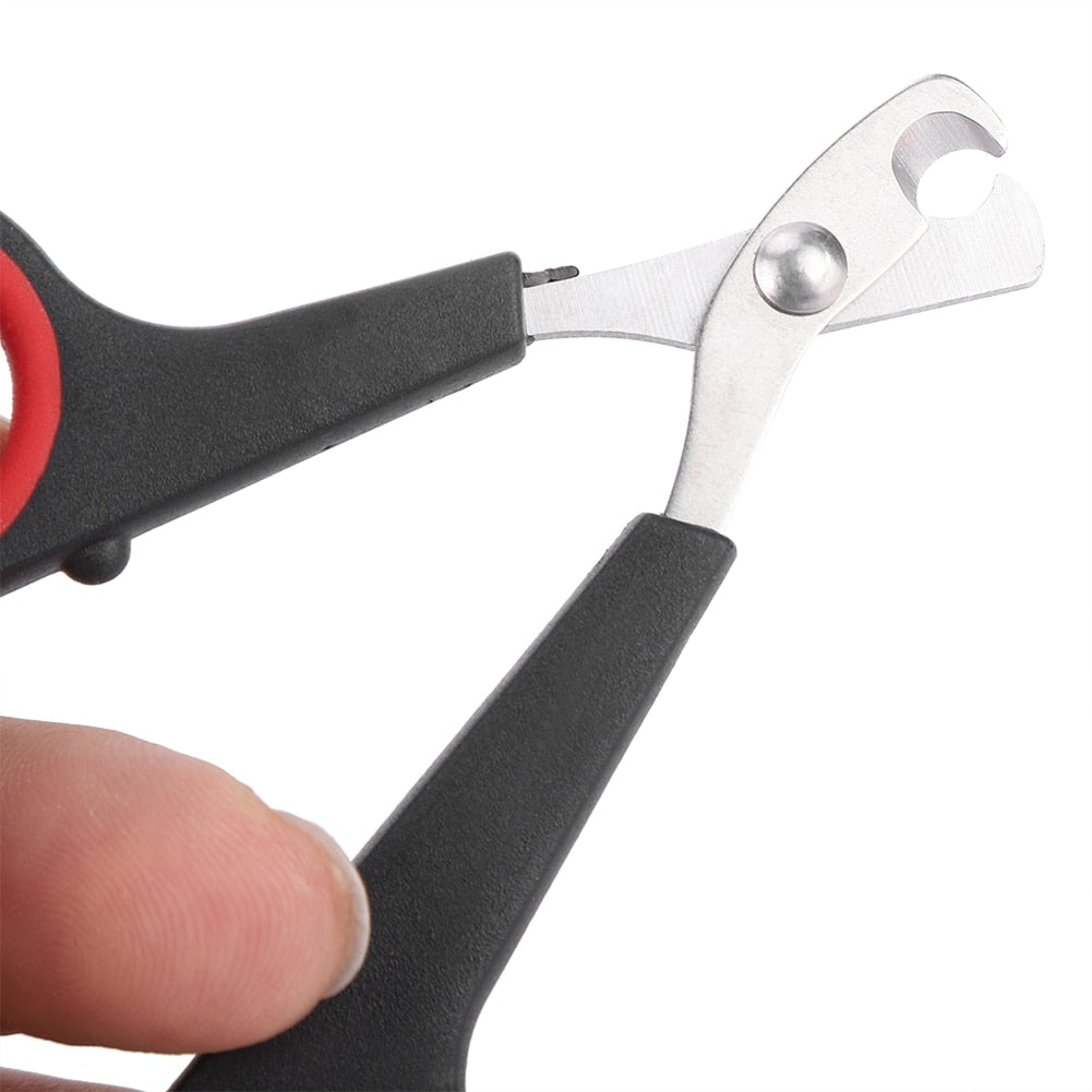 Amazon.com: Bird Nail Clipper,Pet Bird Parrot Small Animals Accessory  Grooming Tool Nail Scissors Clipper Black and Red