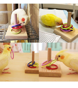 Parrot Cockatiel Parakeet Lovebirds Pet Bird Wood Colorful Rings Training Tricks Toy