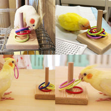 Load image into Gallery viewer, Parrot Cockatiel Parakeet Lovebirds Pet Bird Wood Colorful Rings Training Tricks Toy
