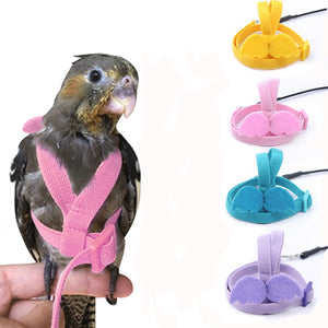 Parrot Cockatiel Cockatoo Pet Bird  Adjustable Harness and Leash