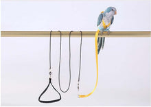 Load image into Gallery viewer, Parrot Cockatiel Cockatoo Pet Bird  Adjustable Harness and Leash
