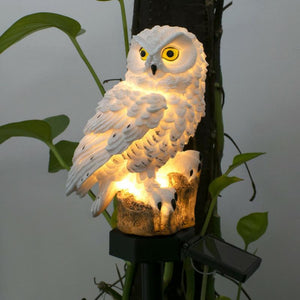 Owl & Parrot Solar LED Garden Lawn Pathway Lights