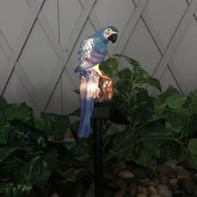 Load image into Gallery viewer, Owl &amp; Parrot Solar LED Garden Lawn Pathway Lights
