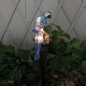 Owl & Parrot Solar LED Garden Lawn Pathway Lights
