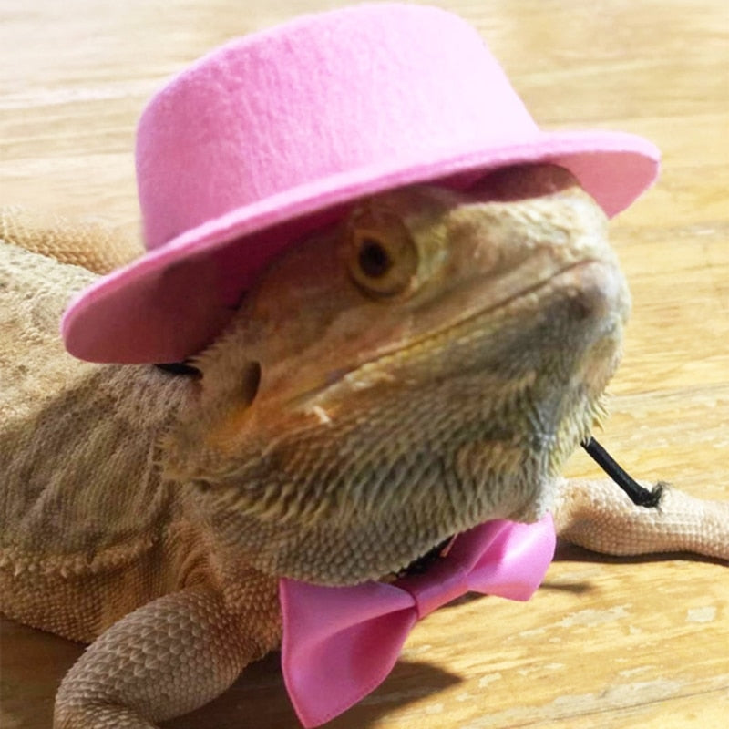 Reptile Hat and Bow Tie Costume  Adorable Accessories for Lizards, Geckos, and Small Reptiles