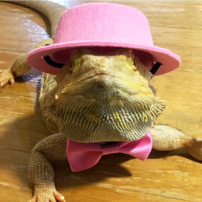 Reptile Hat and Bow Tie Costume  Adorable Accessories for Lizards, Geckos, and Small Reptiles