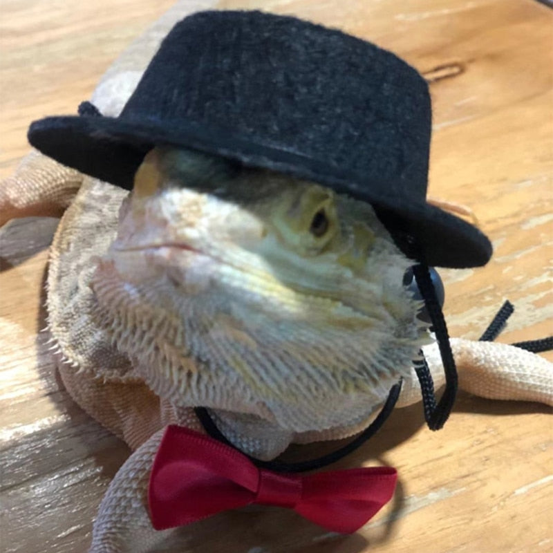 Reptile Hat and Bow Tie Costume  Adorable Accessories for Lizards, Geckos, and Small Reptiles