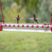 Load image into Gallery viewer, Hammock Swing Hanging Tube Pet Bird Feeder for Outdoor
