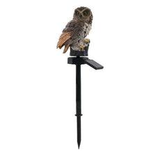 Load image into Gallery viewer, Owl &amp; Parrot Solar LED Garden Lawn Pathway Lights
