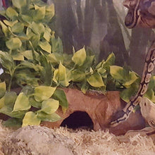 Load image into Gallery viewer, Artificial Fake Hanging Vines Plant for Pet Reptile Terrarium Exo Terra Habitat
