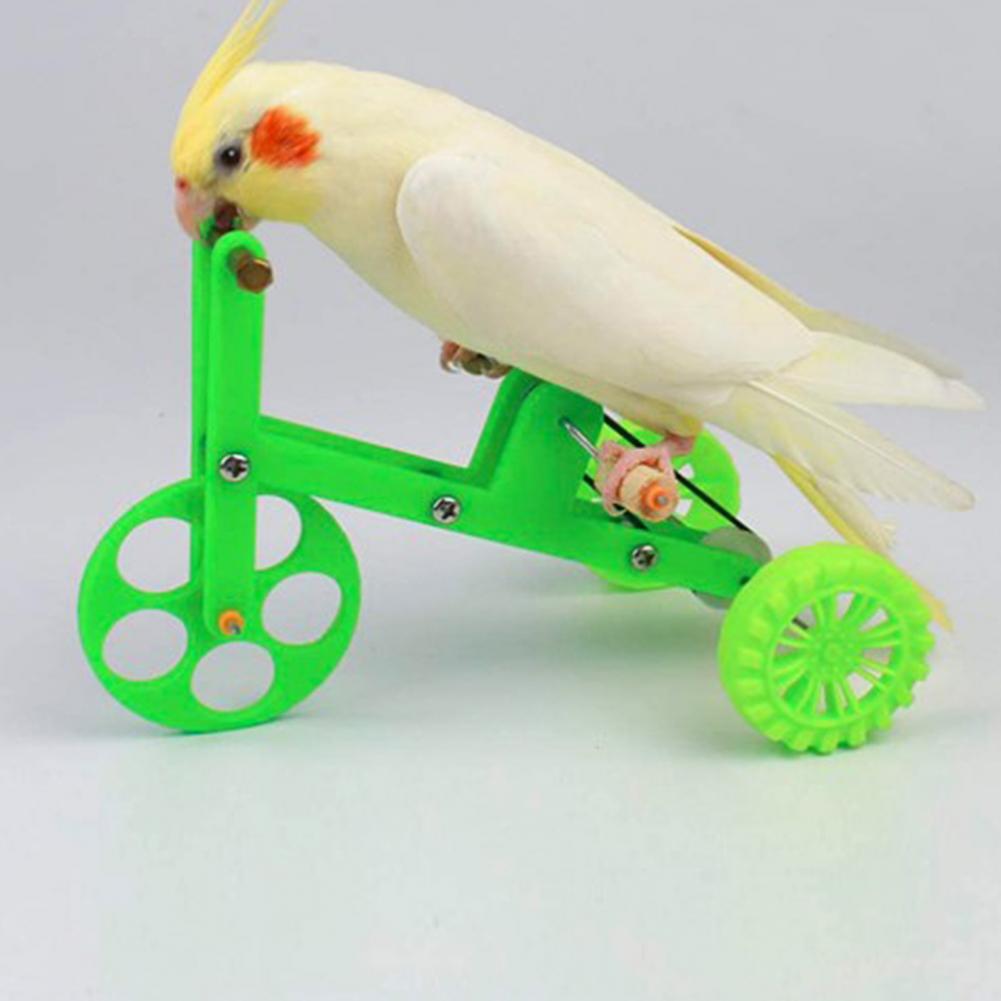 Parrot Green Bike Toy  Fun and Interactive Accessories for Birds