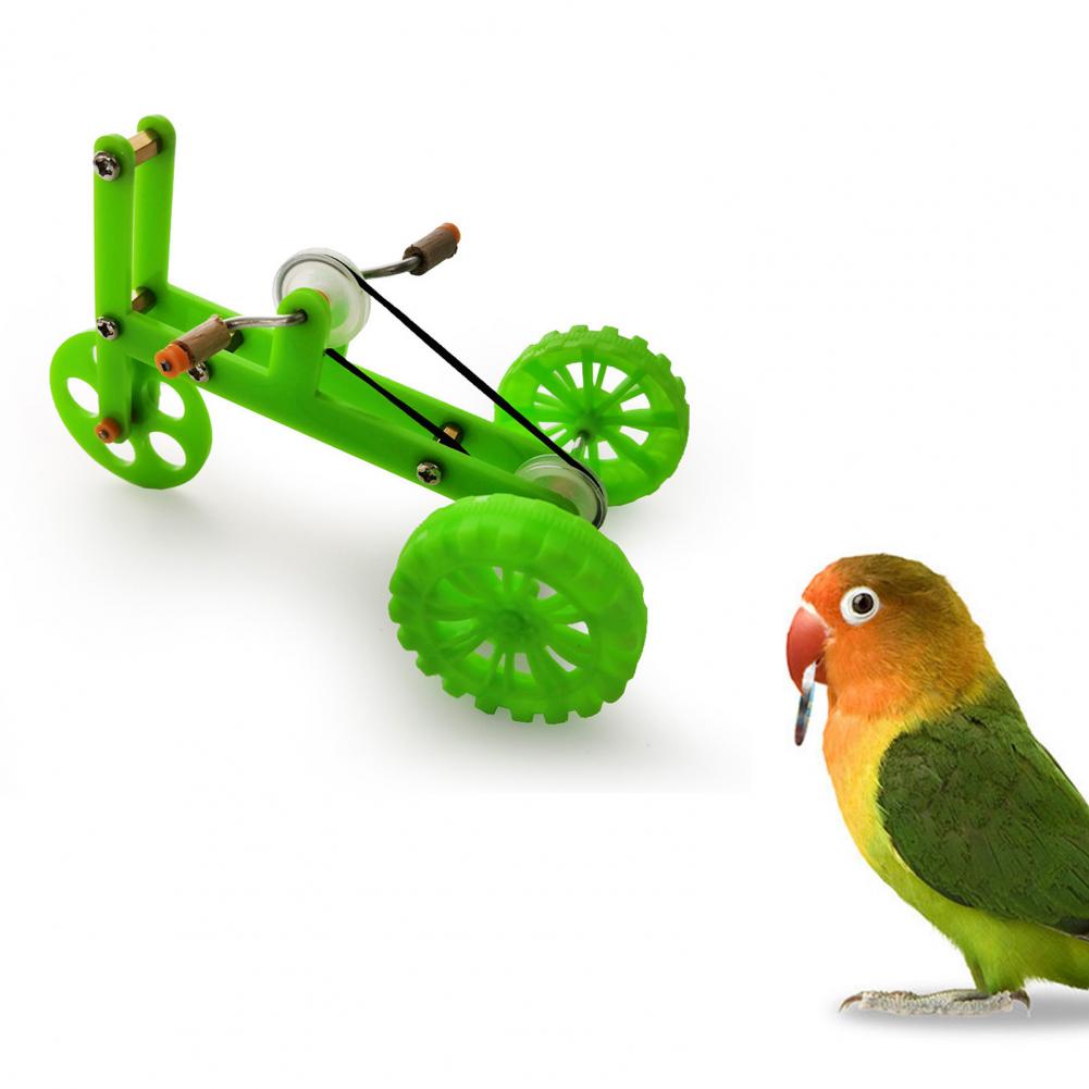 Parrot Green Bike Toy  Fun and Interactive Accessories for Birds