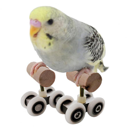 Parrot Roller Skates Toy  Fun Training and Play Accessory for Birds