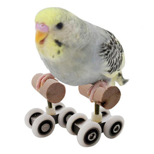 Parrot Pet Bird Ice Skate Roller Skates Toy