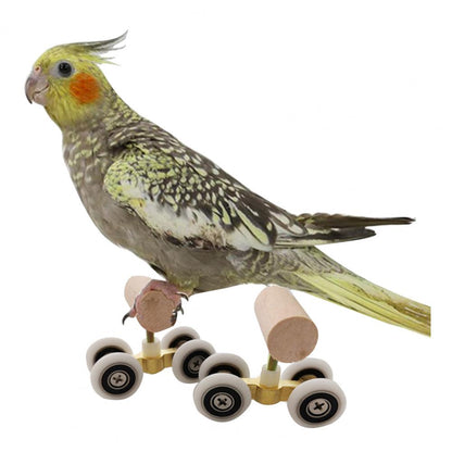 Parrot Roller Skates Toy  Fun Training and Play Accessory for Birds