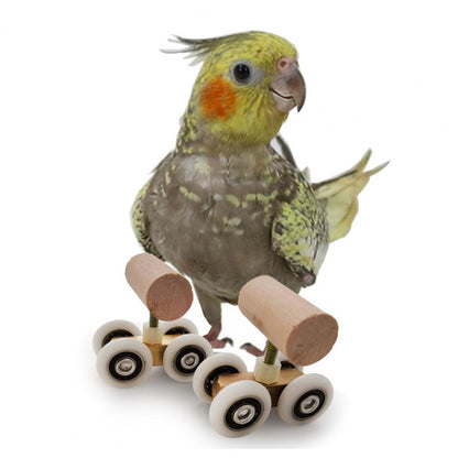 Parrot Roller Skates Toy  Fun Training and Play Accessory for Birds