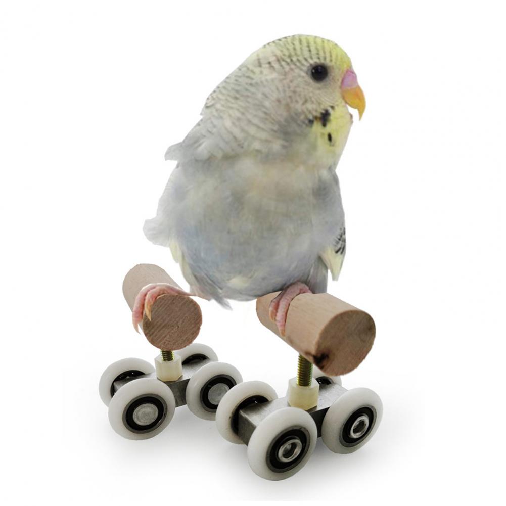 Parrot Roller Skates Toy  Fun Training and Play Accessory for Birds