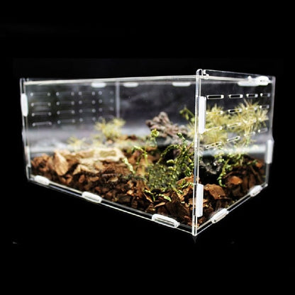 Transparent Acrylic Reptile Box Terrarium