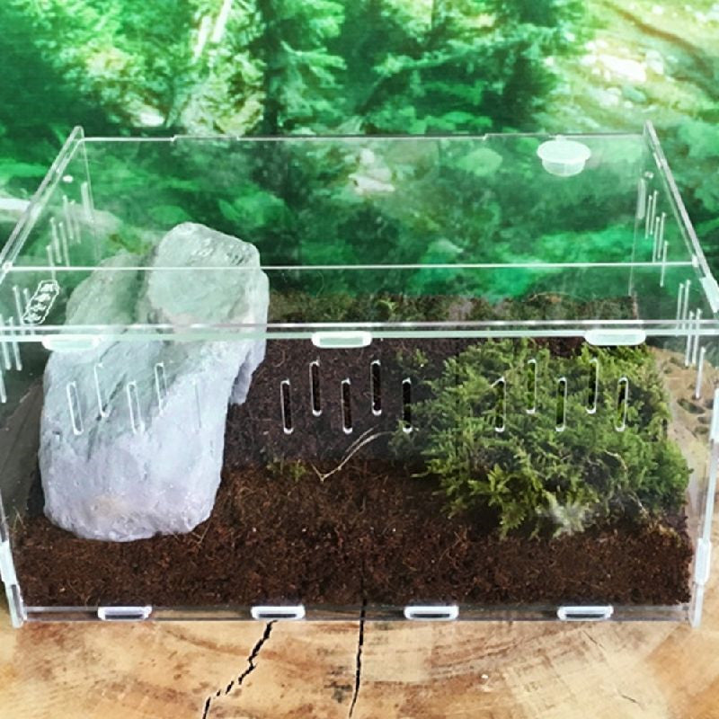 Transparent Acrylic Reptile Box Terrarium