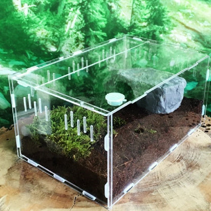 Transparent Acrylic Reptile Box Terrarium