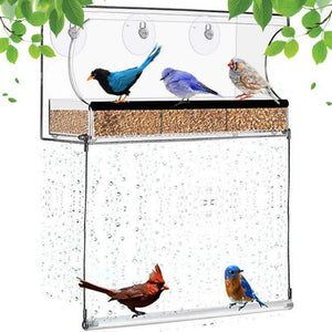 Window Hanging Pet Bird Feeder Acrylic