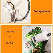Load image into Gallery viewer, 25w-75w Snake Lizard Turtle Pet Reptile Heating Bulb Lamp Light
