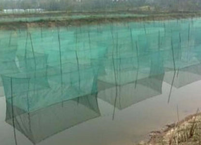 10/40 Netting Mesh for Fish Pond, Garden, Poultry, and Aquaculture