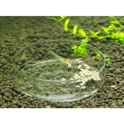 Aquarium Shrimp Tank Food Feeder  Transparent Glass Feeding Bowl for Shrimp & Small Fish