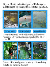 Load image into Gallery viewer, External Canister Layer Box Filter Pump for Koi Fish Pond Aquaponics Aquaculture Aquarium Fish Tank
